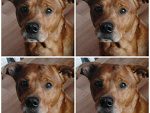 Fotoblog adaa999