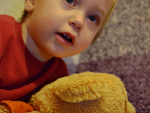 Fotoblog vivante