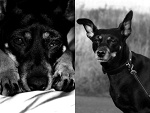 Fotoblog paulinakrollfotografie