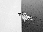Fotoblog womenofsuburbia