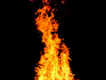 Fotoblog nieide