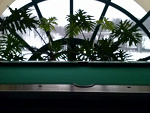 Fotoblog carlosik89