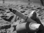 Fotoblog fukcyoubitch