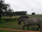 Fotoblog adriano1997xc