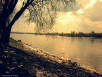 Fotoblog zawiszaczarny96