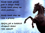 Fotoblog milosnicy477