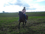 Fotoblog leeloch