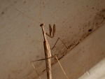 Fotoblog baise