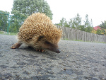 Fotoblog arturadamiak354