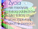 Fotoblog zmyslowska12