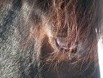 Fotoblog justyna19986