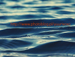 Fotoblog goldenmoments