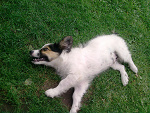Fotoblog blondyna777