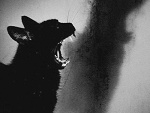 Fotoblog diebitchfuck