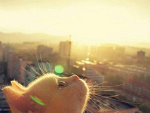 Fotoblog rockstarxx