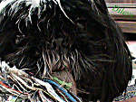 Fotoblog dileyy
