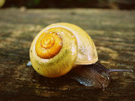 Fotoblog cieniutka