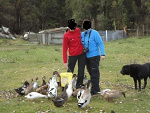 Fotoblog allien21