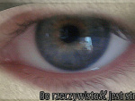 Fotoblog pazzescogattino