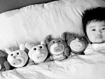 Fotoblog misia322315