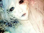 Fotoblog akinorishiro