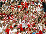 Fotoblog rapmidrogewskazal