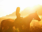 Fotoblog horsesbreath