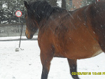 Fotoblog werka0110