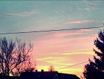 Fotoblog peculiarr