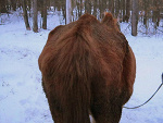 Fotoblog ranchofiesta