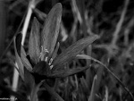Fotoblog kaisope
