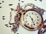 Fotoblog shhyy