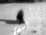 Fotoblog wesolykostek123