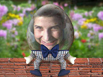 Fotoblog pitbull2360