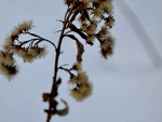Fotoblog aannkaaa