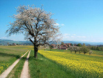 Fotoblog onlyouaremyotherhalf