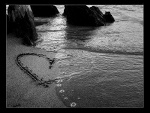 Fotoblog ciorna