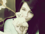 Fotoblog stfuuu