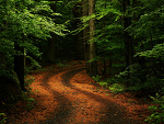Fotoblog elenorsar