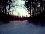 Fotoblog whitegrayblack