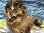 Fotoblog ddzika