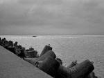 Fotoblog turtle97
