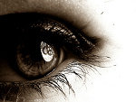Fotoblog scar532