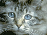 Fotoblog zainspirowowanawnimx3