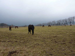 Fotoblog marwel
