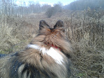 Fotoblog kabiny