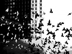 Fotoblog yorukuru