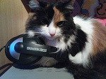 Fotoblog zwierzeee