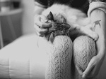 Fotoblog bethinnn