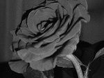 Fotoblog magda240